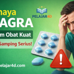 ChatGPT Image 28 Des 2025, 18.37.00